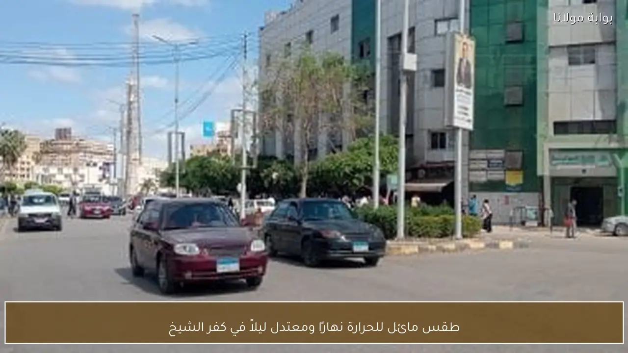 طقس مائل للحرارة نهارًا ومعتدل ليلاً في كفر الشيخ