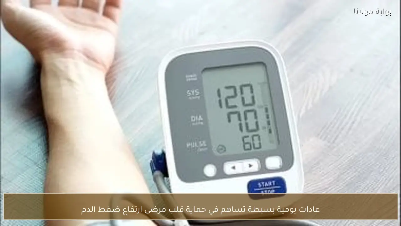 عادات يومية بسيطة تساهم في حماية قلب مرضى ارتفاع ضغط الدم