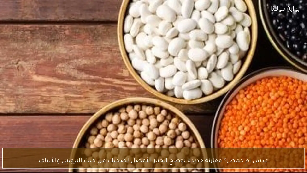 عدس أم حمص؟ مقارنة جديدة توضح الخيار الأفضل لصحتك من حيث البروتين والألياف