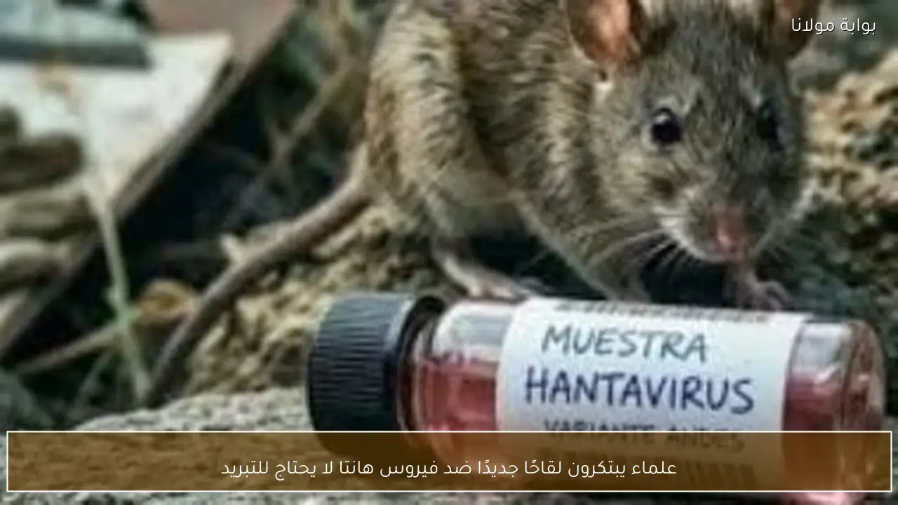علماء يبتكرون لقاحًا جديدًا ضد فيروس هانتا لا يحتاج للتبريد