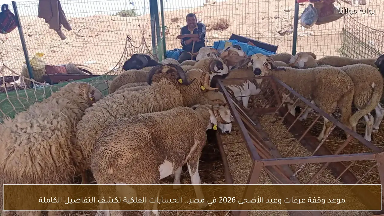 موعد وقفة عرفات وعيد الأضحى 2026 في مصر.. الحسابات الفلكية تكشف التفاصيل الكاملة