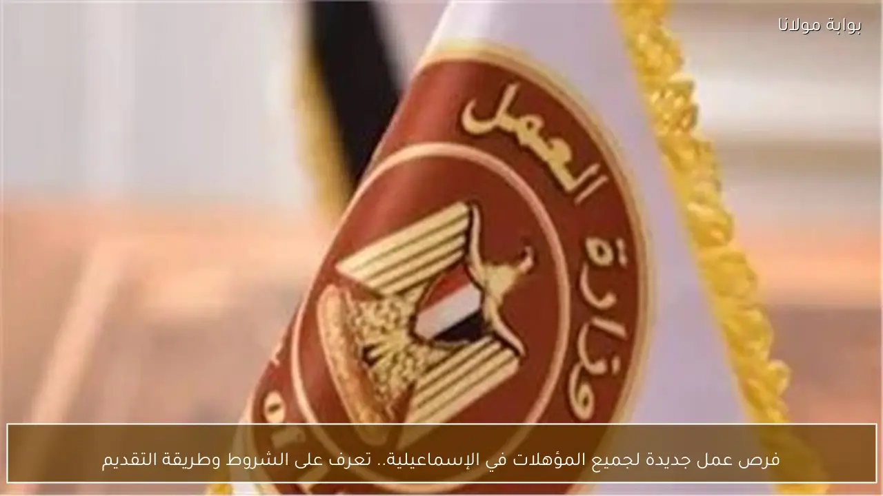 فرص عمل جديدة لجميع المؤهلات في الإسماعيلية.. تعرف على الشروط وطريقة التقديم