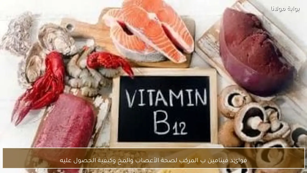 فوائد فيتامين ب المركب لصحة الأعصاب والمخ وكيفية الحصول عليه