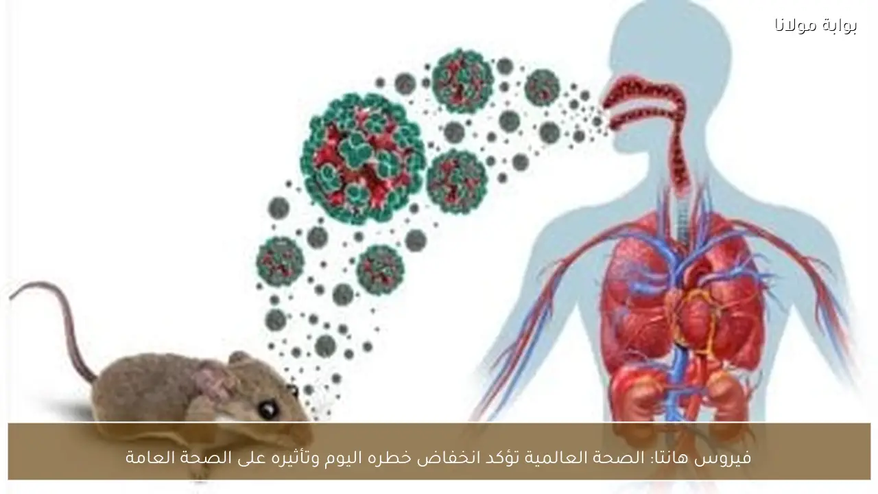 فيروس هانتا: الصحة العالمية تؤكد انخفاض خطره اليوم وتأثيره على الصحة العامة