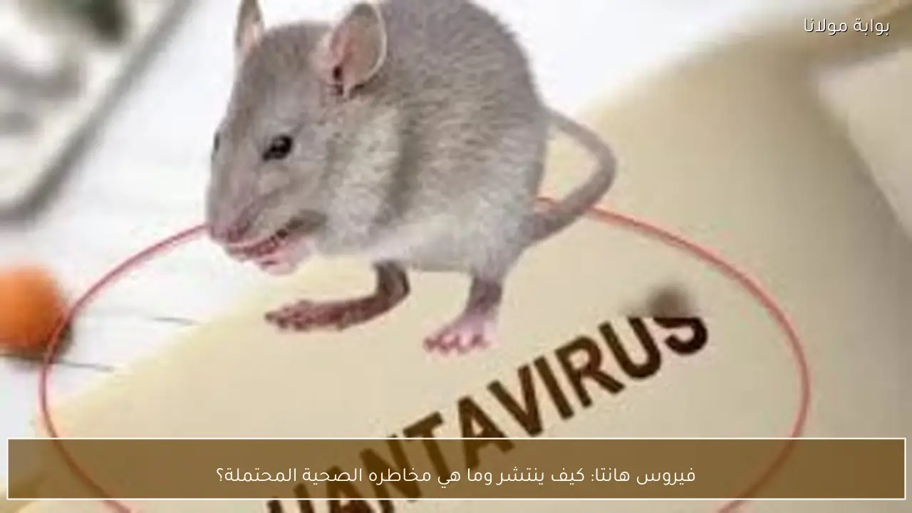 فيروس هانتا: كيف ينتشر وما هي مخاطره الصحية المحتملة؟