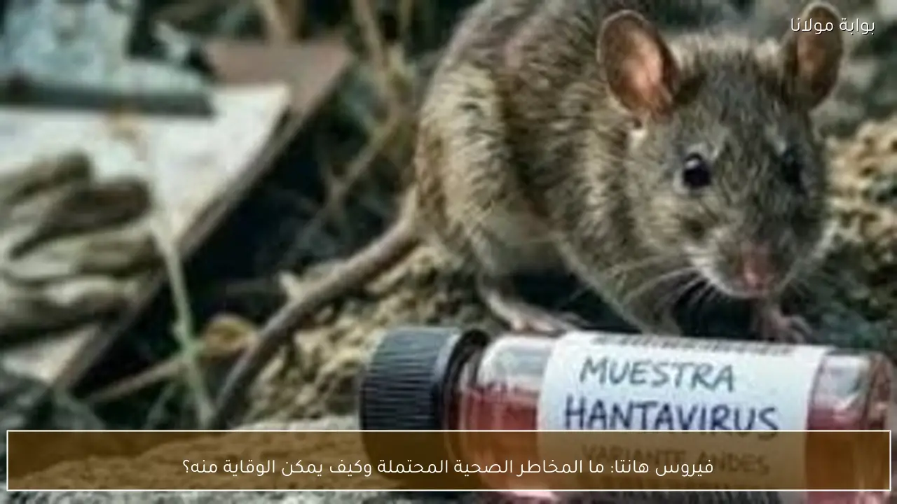 فيروس هانتا: ما المخاطر الصحية المحتملة وكيف يمكن الوقاية منه؟