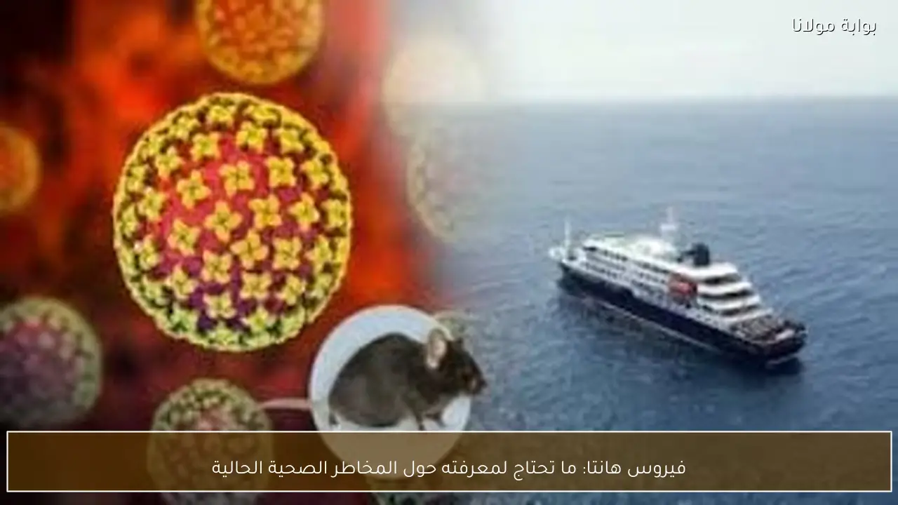 فيروس هانتا: ما تحتاج لمعرفته حول المخاطر الصحية الحالية