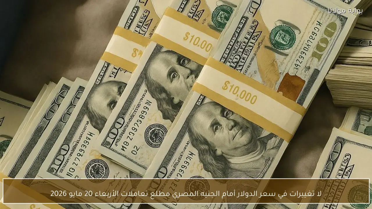لا تغييرات في سعر الدولار أمام الجنيه المصري مطلع تعاملات الأربعاء 20 مايو 2026