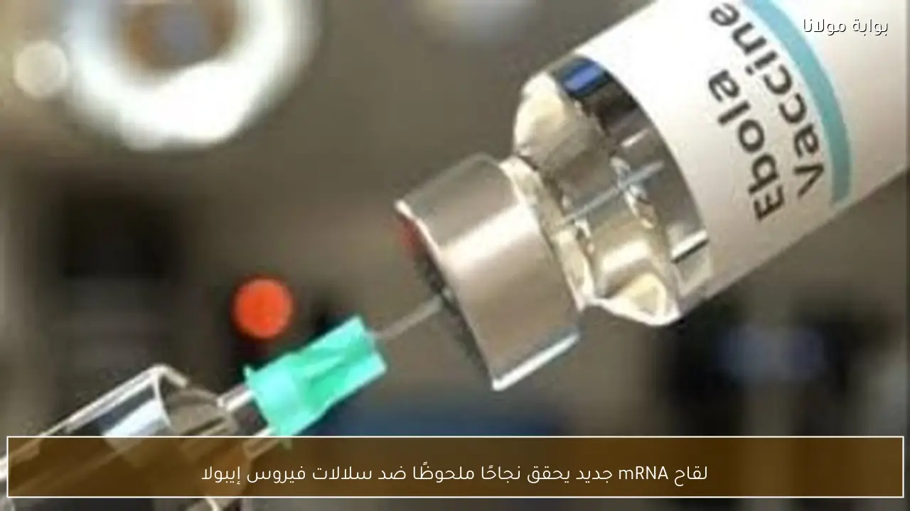 لقاح mRNA جديد يحقق نجاحًا ملحوظًا ضد سلالات فيروس إيبولا