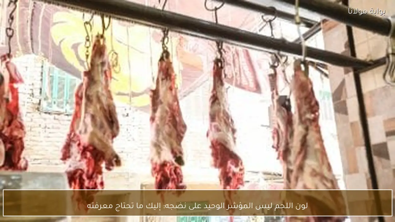 لون اللحم ليس المؤشر الوحيد على نضجه: إليك ما تحتاج معرفته