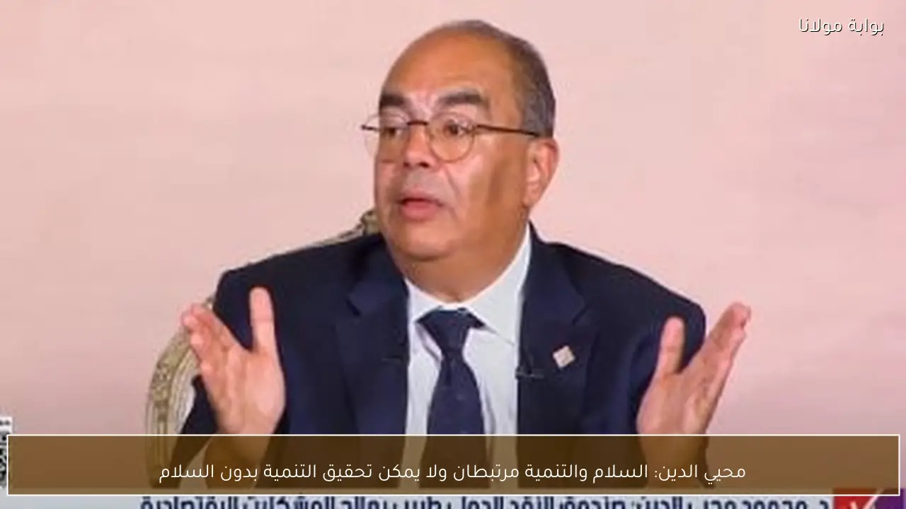 محيي الدين: السلام والتنمية مرتبطان ولا يمكن تحقيق التنمية بدون السلام