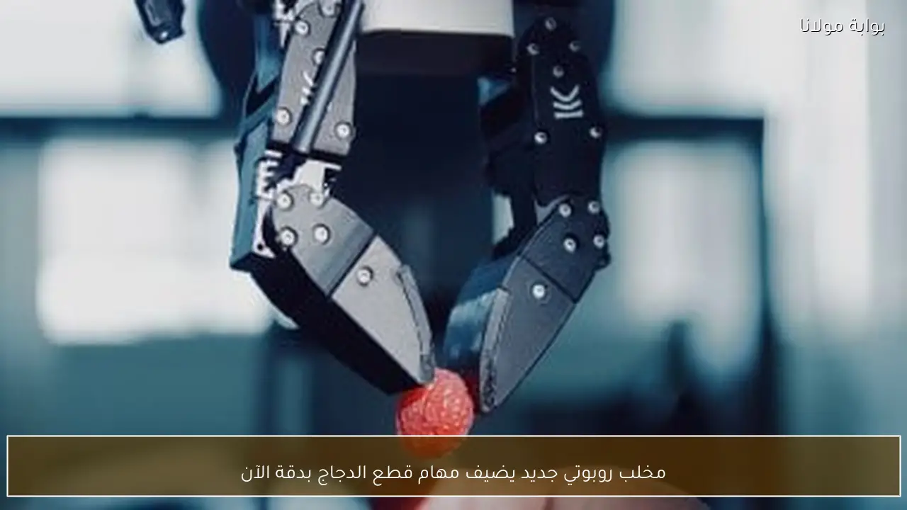مخلب روبوتي جديد يضيف مهام قطع الدجاج بدقة الآن