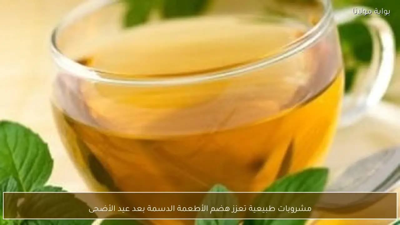 مشروبات طبيعية تعزز هضم الأطعمة الدسمة بعد عيد الأضحى