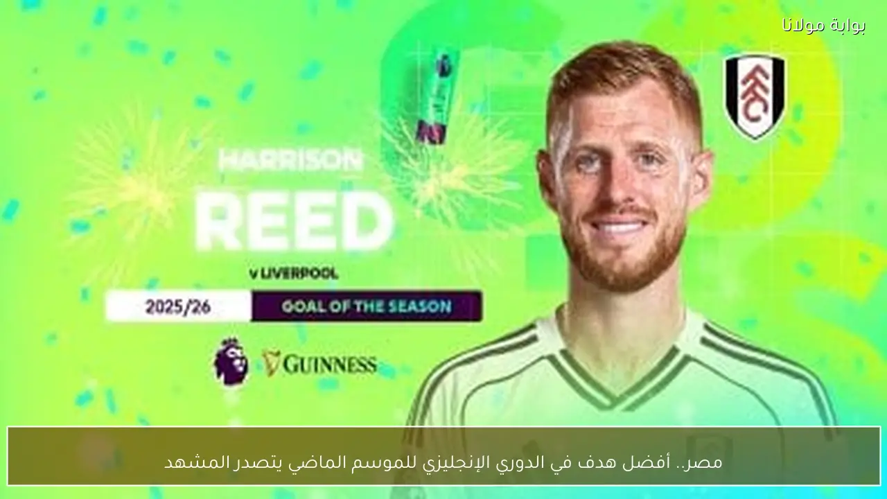 مصر.. أفضل هدف في الدوري الإنجليزي للموسم الماضي يتصدر المشهد