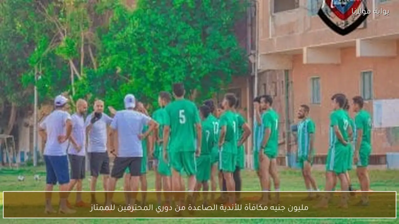 مليون جنيه مكافأة للأندية الصاعدة من دوري المحترفين للممتاز