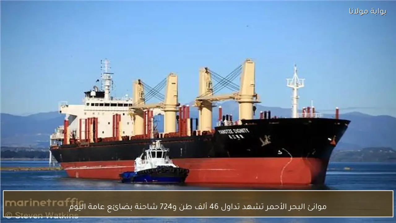 موانئ البحر الأحمر تشهد تداول 46 ألف طن و724 شاحنة بضائع عامة اليوم