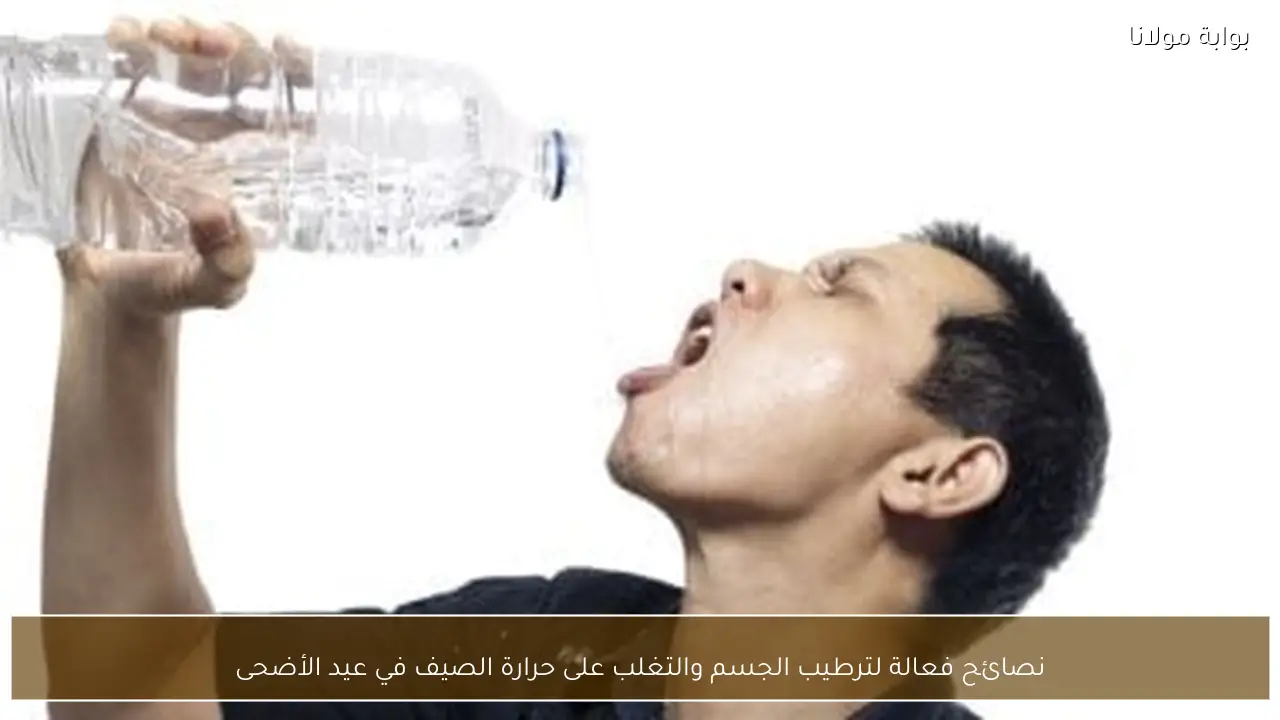 نصائح فعالة لترطيب الجسم والتغلب على حرارة الصيف في عيد الأضحى