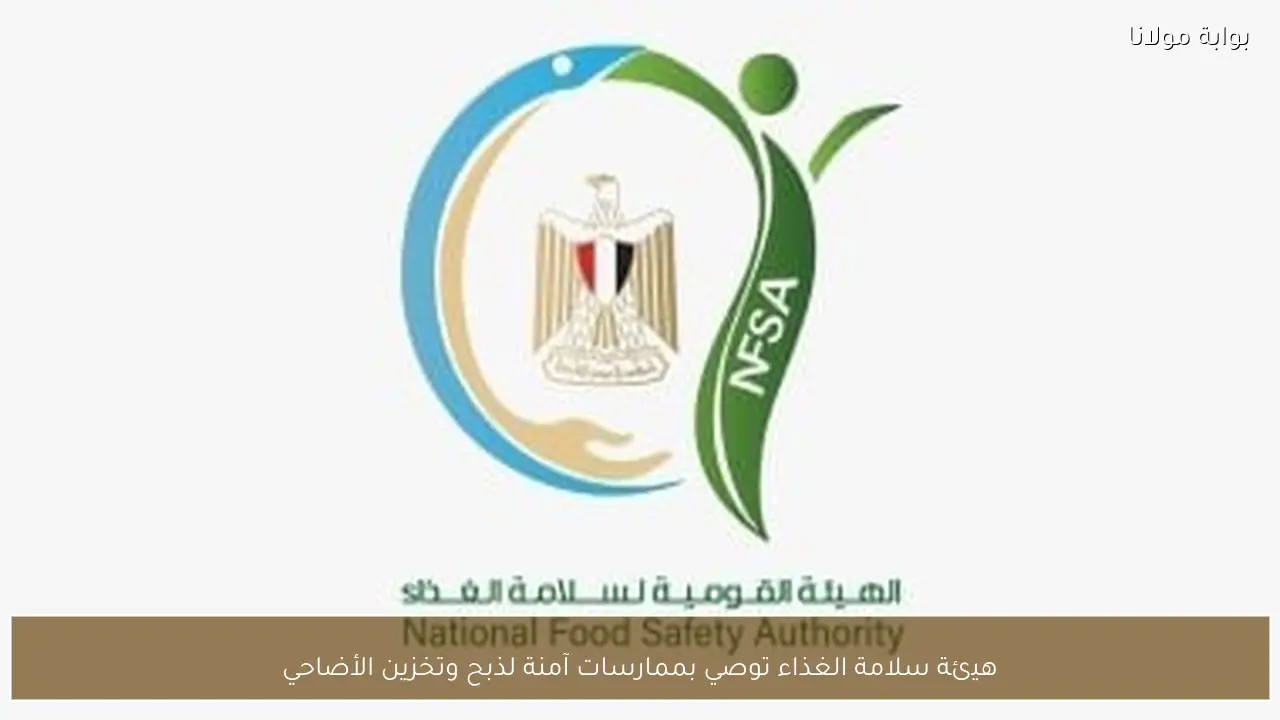 هيئة سلامة الغذاء توصي بممارسات آمنة لذبح وتخزين الأضاحي