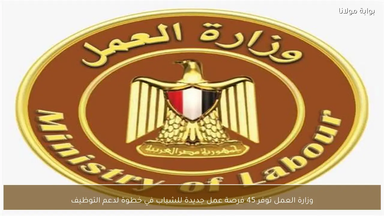 وزارة العمل توفر 45 فرصة عمل جديدة للشباب في خطوة لدعم التوظيف