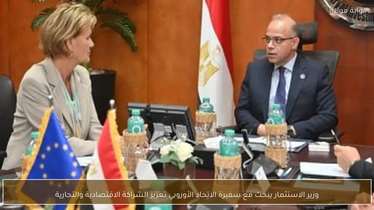 وزير الاستثمار يبحث مع سفيرة الاتحاد الأوروبي تعزيز الشراكة الاقتصادية والتجارية