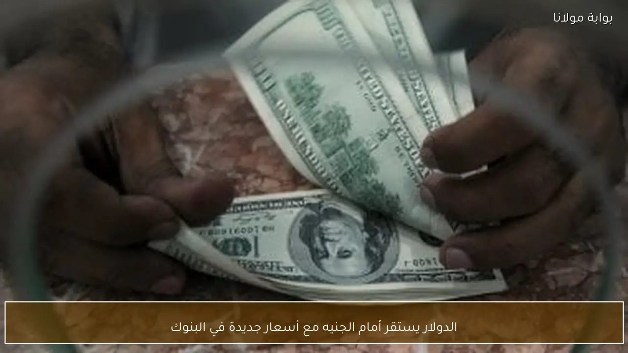 الدولار يستقر أمام الجنيه مع أسعار جديدة في البنوك
