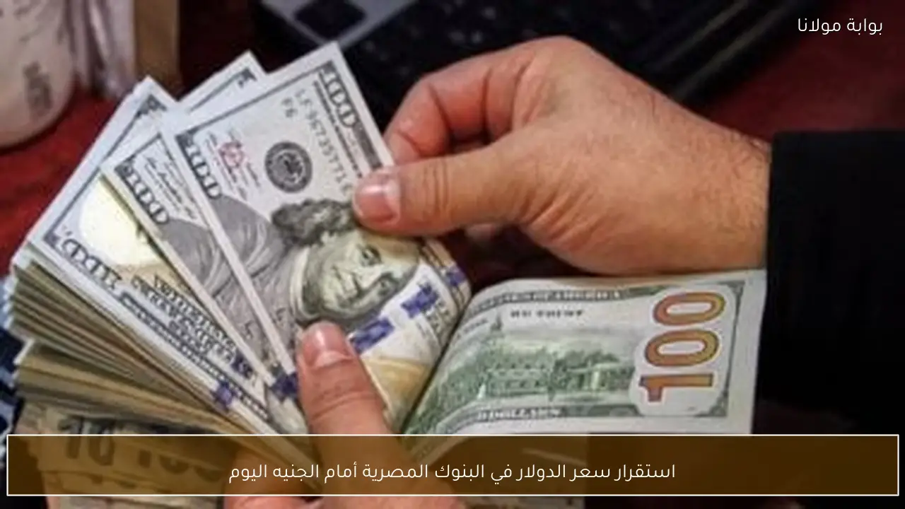 استقرار سعر الدولار في البنوك المصرية أمام الجنيه اليوم