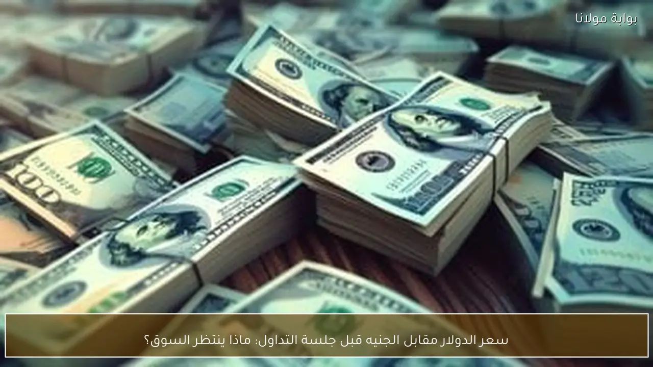 سعر الدولار مقابل الجنيه قبل جلسة التداول: ماذا ينتظر السوق؟