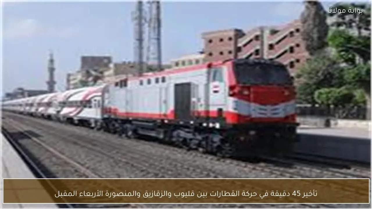 تأخير 45 دقيقة في حركة القطارات بين قليوب والزقازيق والمنصورة الأربعاء المقبل