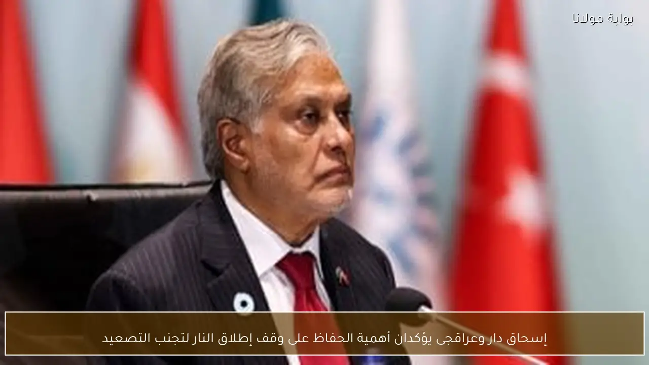 إسحاق دار وعراقجى يؤكدان أهمية الحفاظ على وقف إطلاق النار لتجنب التصعيد