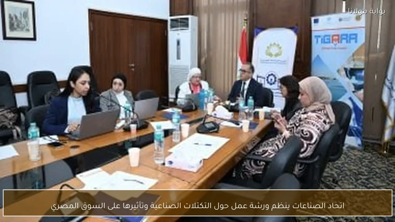 اتحاد الصناعات ينظم ورشة عمل حول التكتلات الصناعية وتأثيرها على السوق المصري