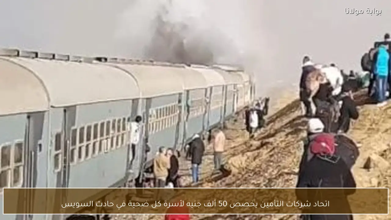 اتحاد شركات التأمين يخصص 50 ألف جنيه لأسرة كل ضحية في حادث السويس