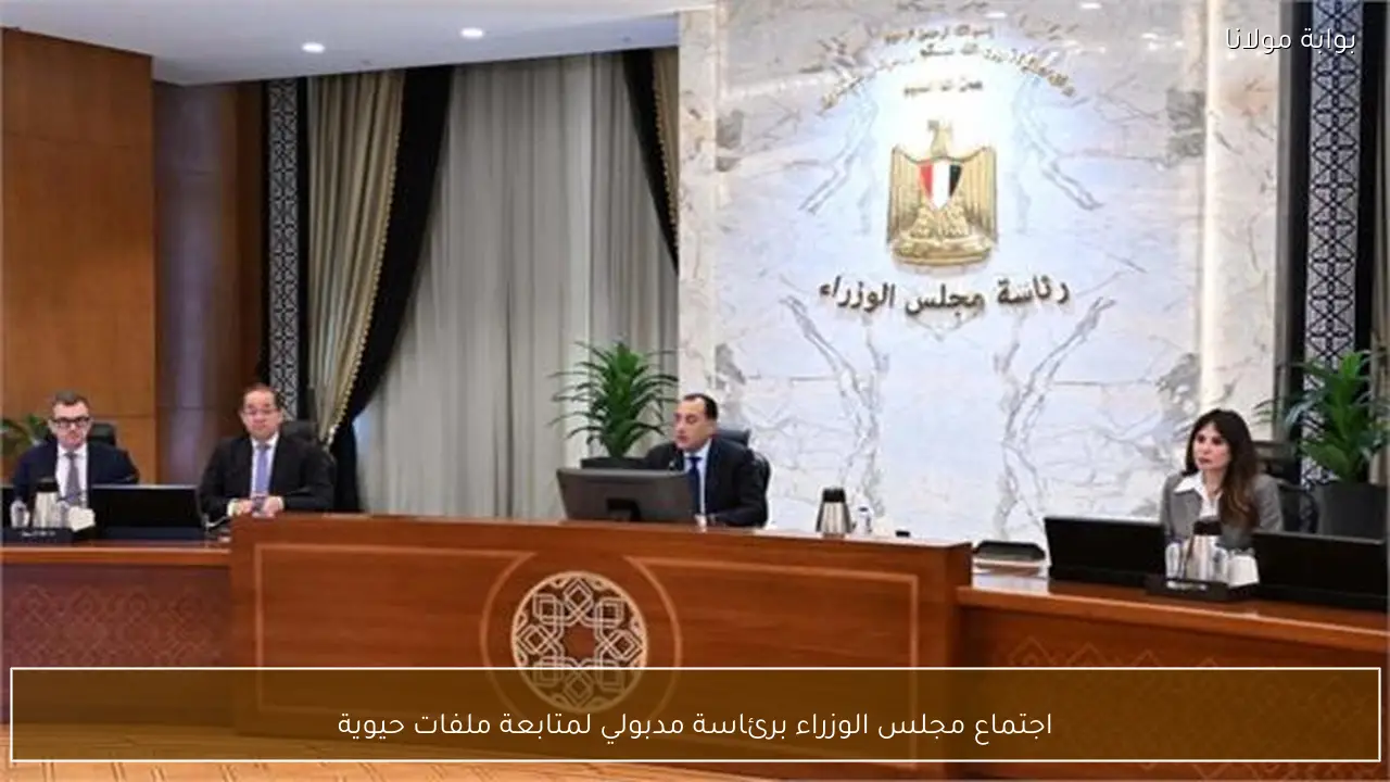اجتماع مجلس الوزراء برئاسة مدبولي لمتابعة ملفات حيوية