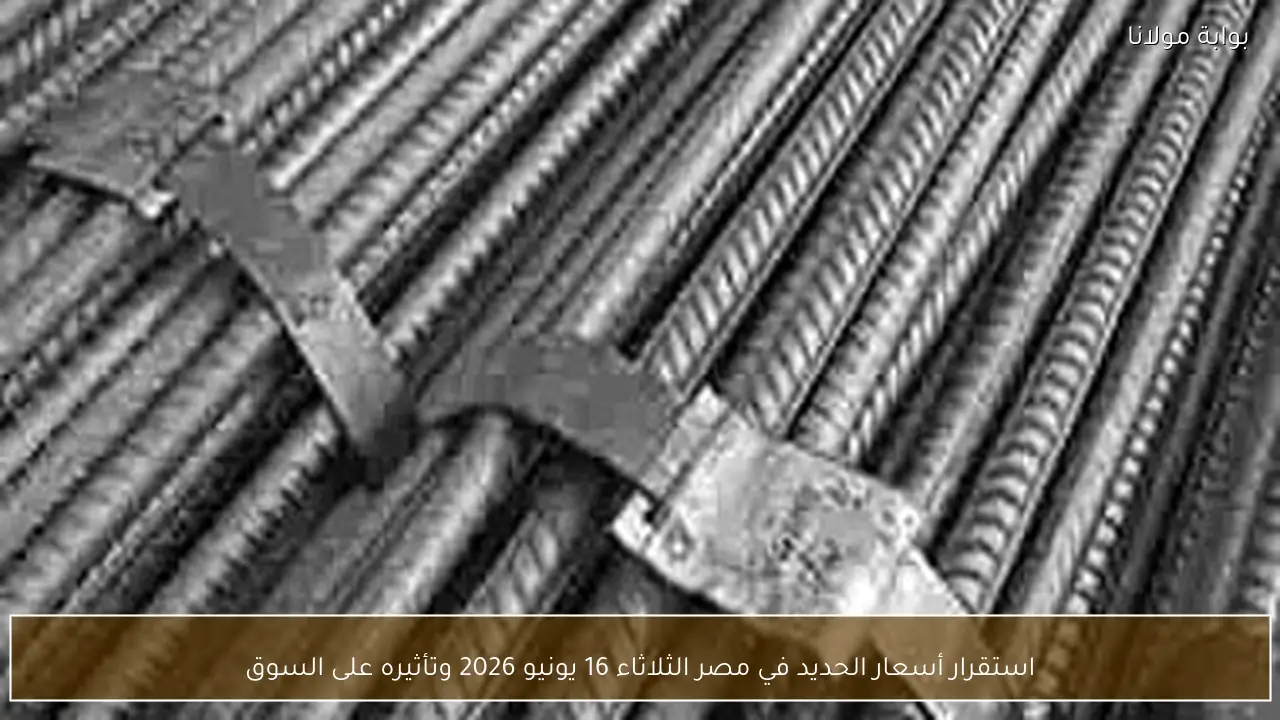 استقرار أسعار الحديد في مصر الثلاثاء 16 يونيو 2026 وتأثيره على السوق