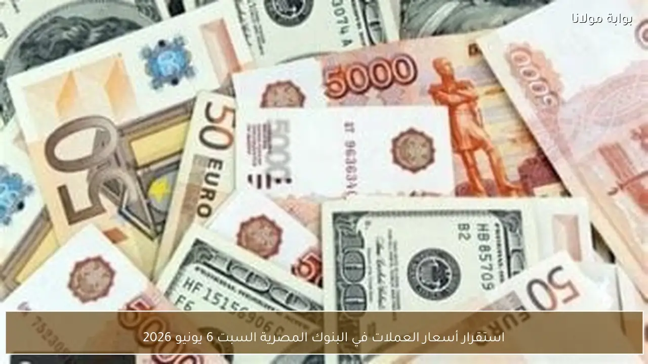 استقرار أسعار العملات في البنوك المصرية السبت 6 يونيو 2026