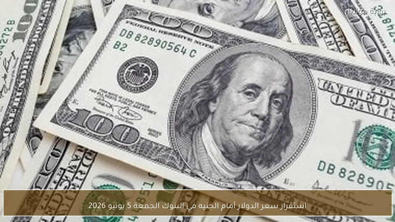 استقرار سعر الدولار أمام الجنيه في البنوك الجمعة 5 يونيو 2026
