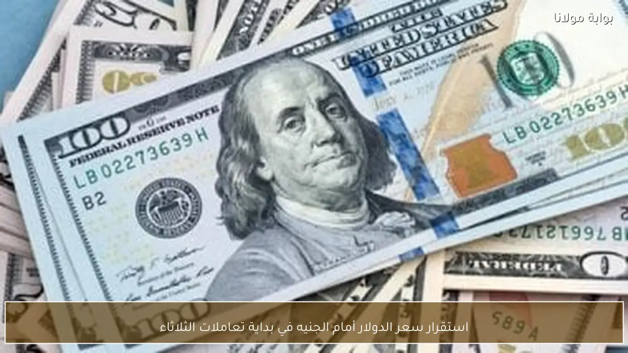 استقرار سعر الدولار أمام الجنيه في بداية تعاملات الثلاثاء