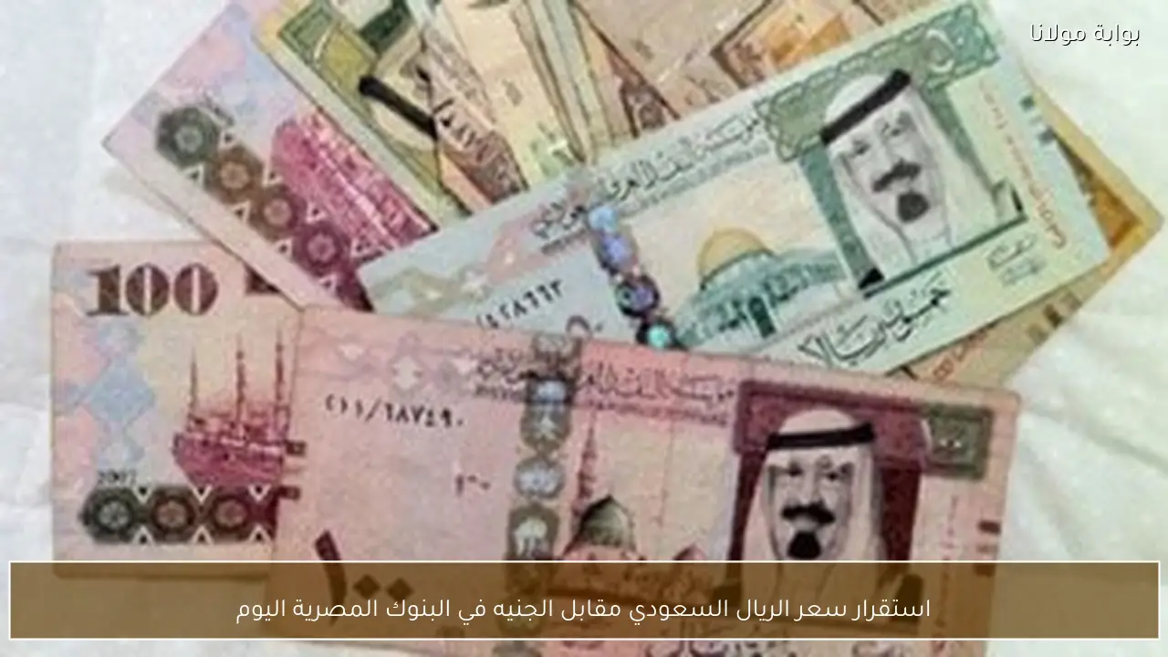 استقرار سعر الريال السعودي مقابل الجنيه في البنوك المصرية اليوم