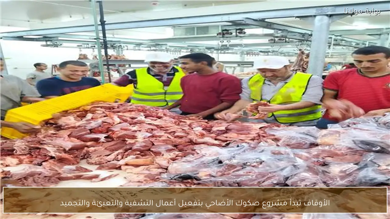الأوقاف تبدأ مشروع صكوك الأضاحي بتفعيل أعمال التشفية والتعبئة والتجميد