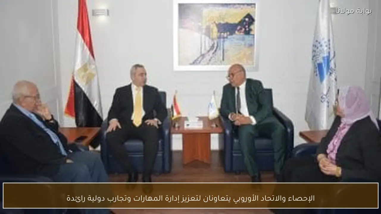 الإحصاء والاتحاد الأوروبي يتعاونان لتعزيز إدارة المهارات وتجارب دولية رائدة
