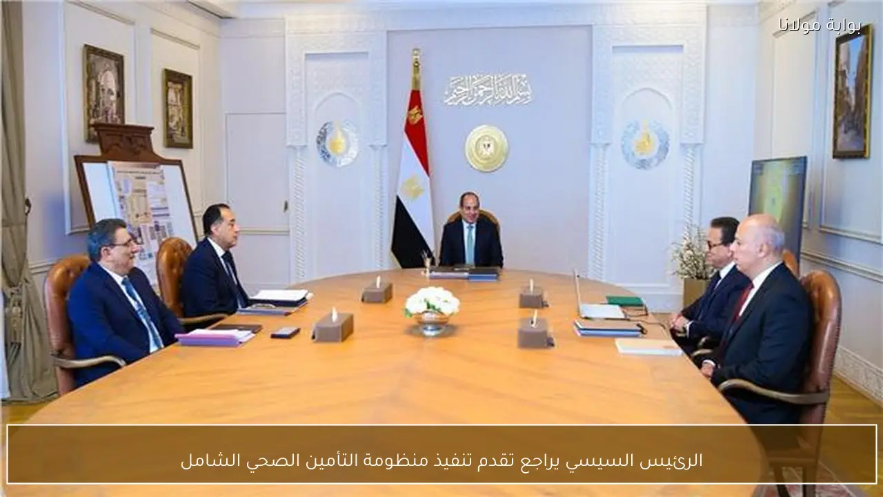 الرئيس السيسي يراجع تقدم تنفيذ منظومة التأمين الصحي الشامل