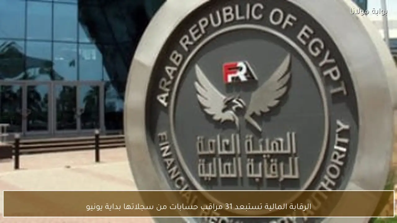 الرقابة المالية تستبعد 31 مراقب حسابات من سجلاتها بداية يونيو