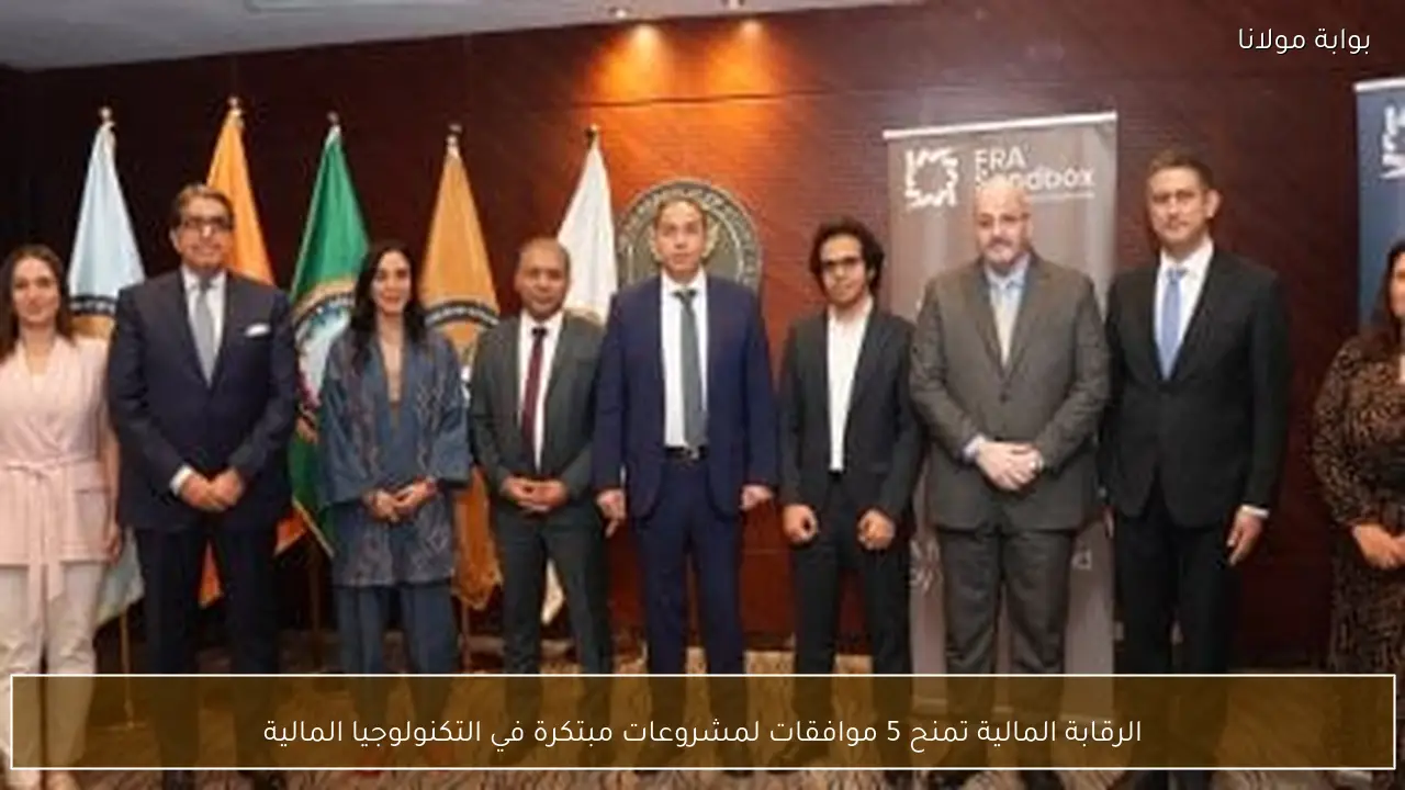 الرقابة المالية تمنح 5 موافقات لمشروعات مبتكرة في التكنولوجيا المالية