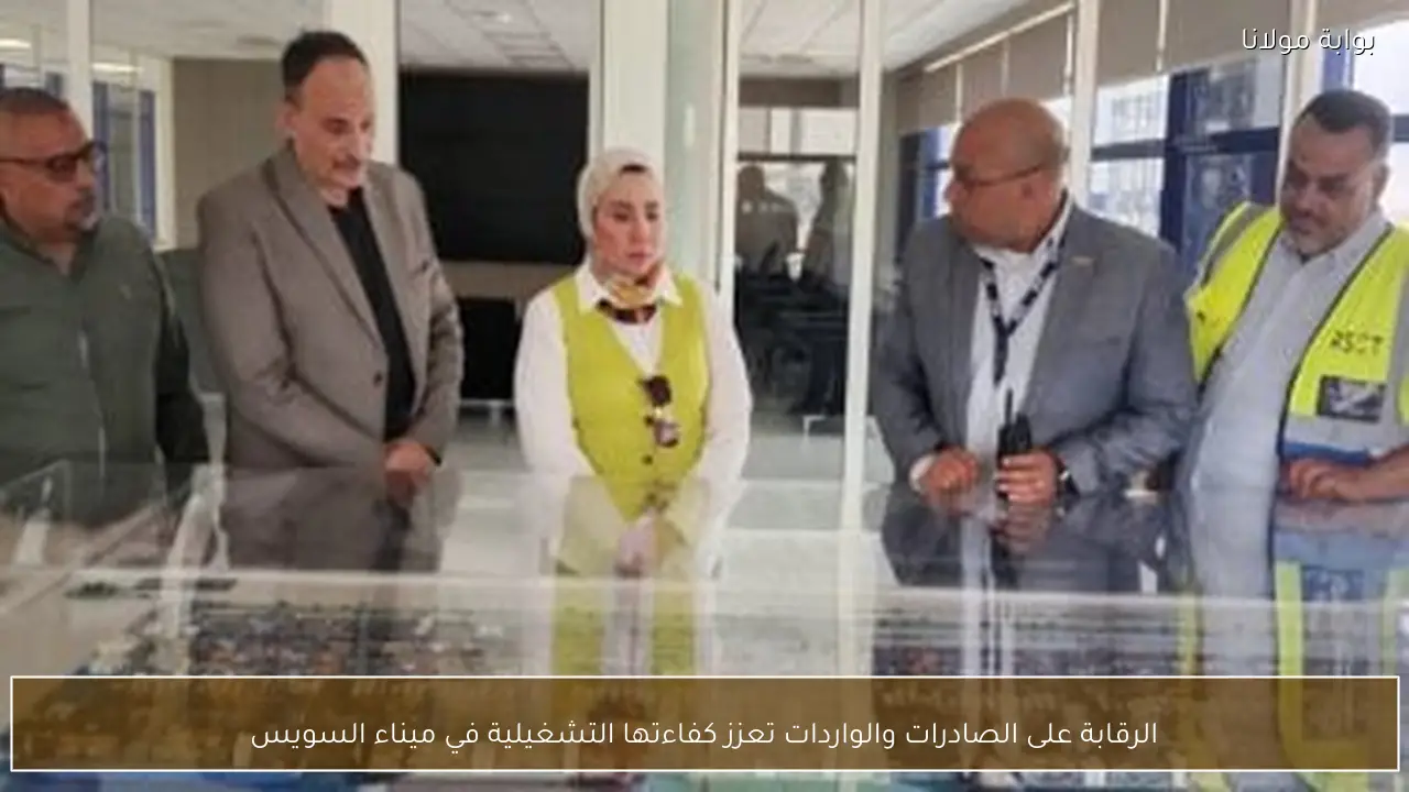 الرقابة على الصادرات والواردات تعزز كفاءتها التشغيلية في ميناء السويس