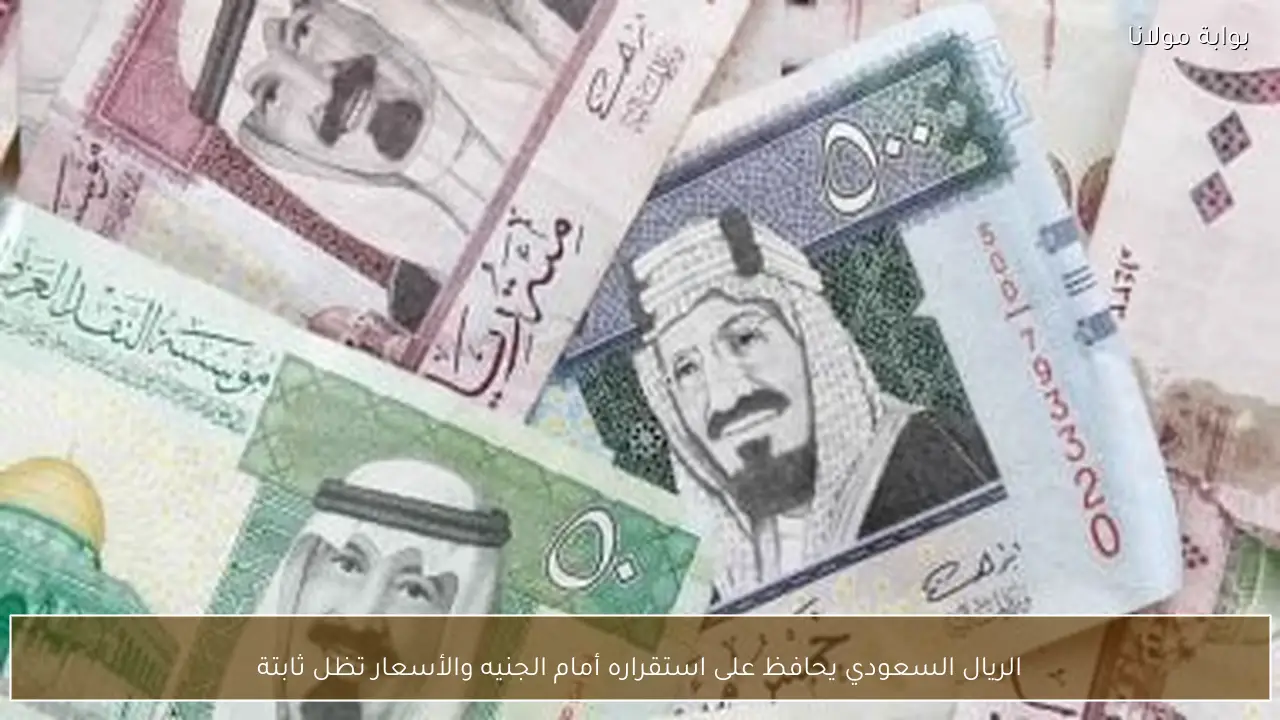 الريال السعودي يحافظ على استقراره أمام الجنيه والأسعار تظل ثابتة
