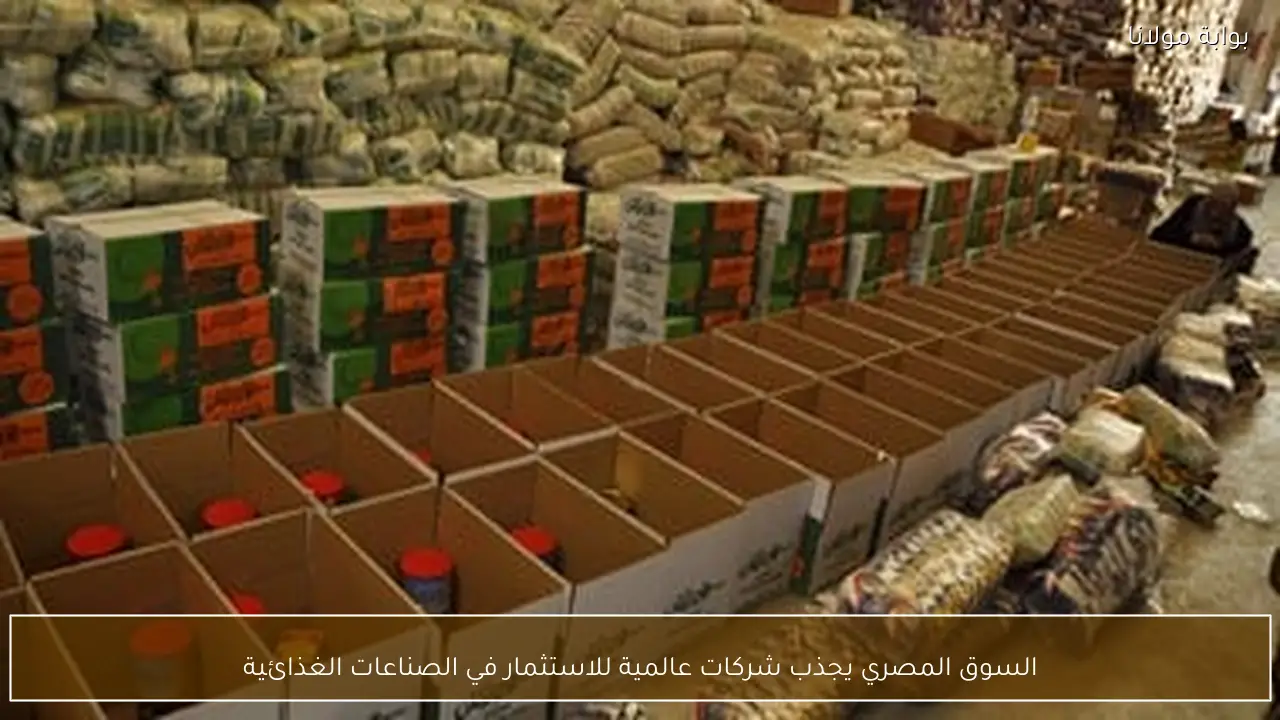 السوق المصري يجذب شركات عالمية للاستثمار في الصناعات الغذائية
