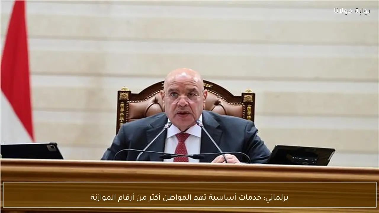 برلماني: خدمات أساسية تهم المواطن أكثر من أرقام الموازنة