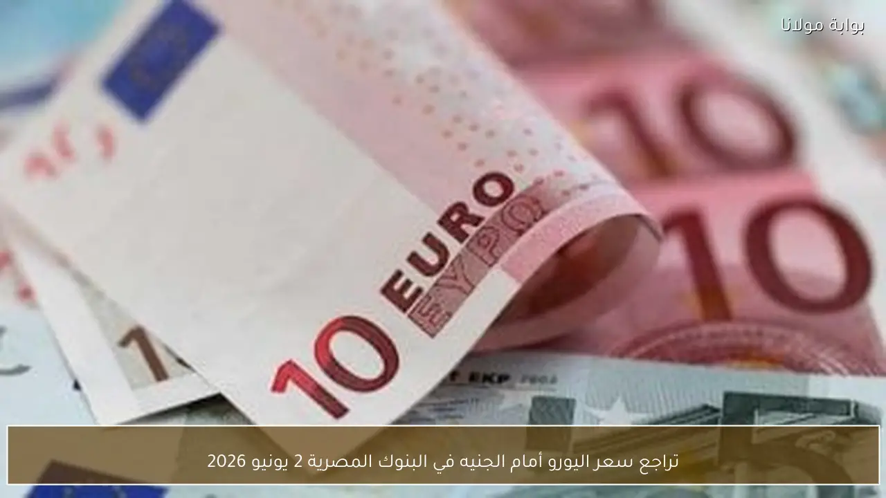 تراجع سعر اليورو أمام الجنيه في البنوك المصرية 2 يونيو 2026