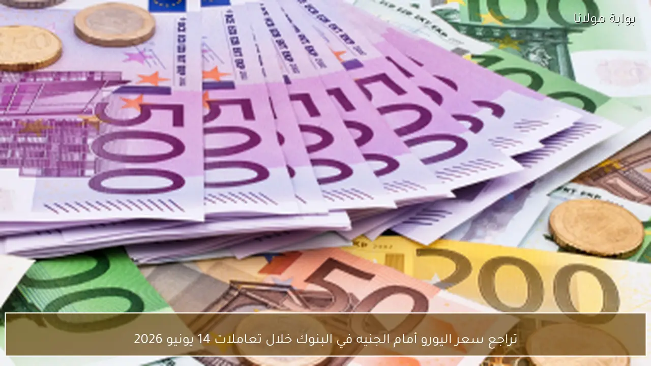 تراجع سعر اليورو أمام الجنيه في البنوك خلال تعاملات 14 يونيو 2026