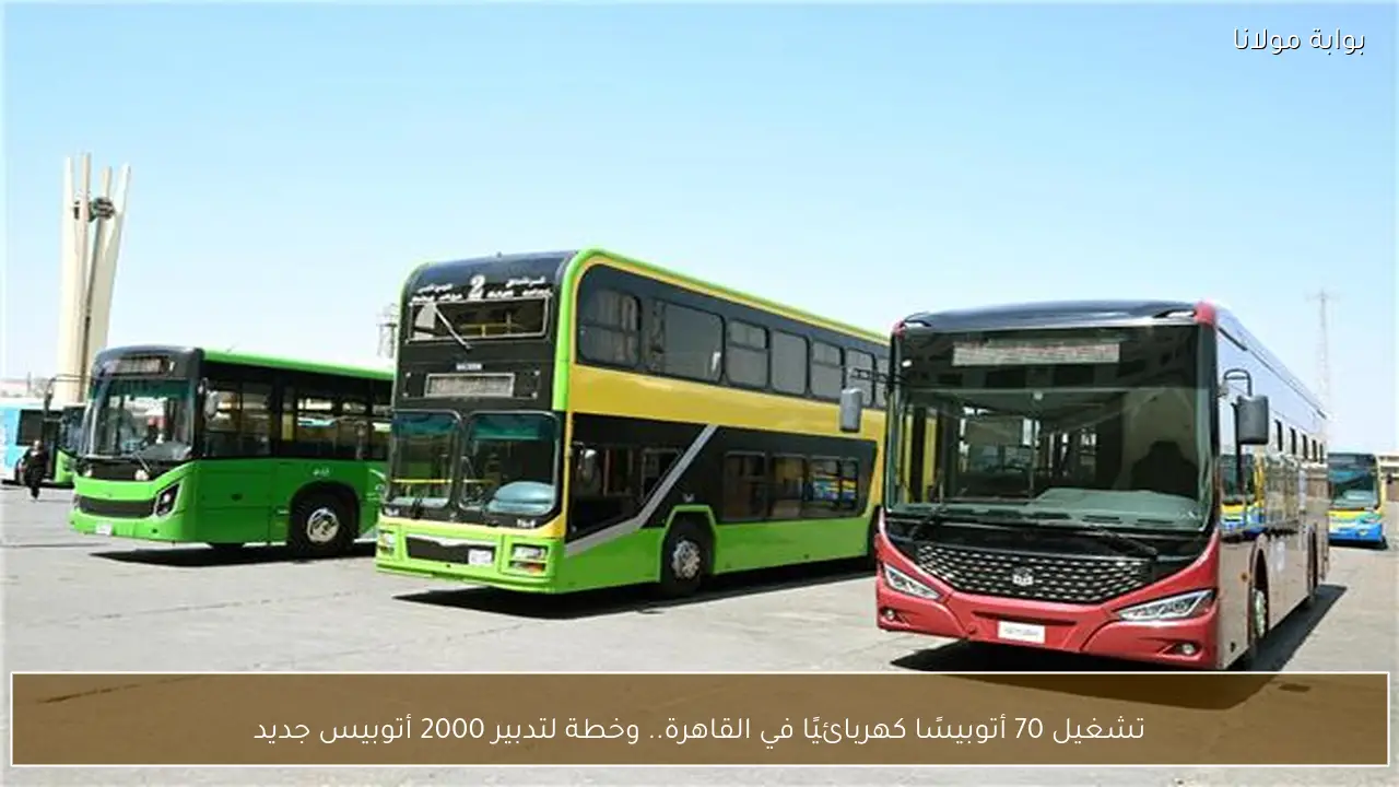 تشغيل 70 أتوبيسًا كهربائيًا في القاهرة.. وخطة لتدبير 2000 أتوبيس جديد