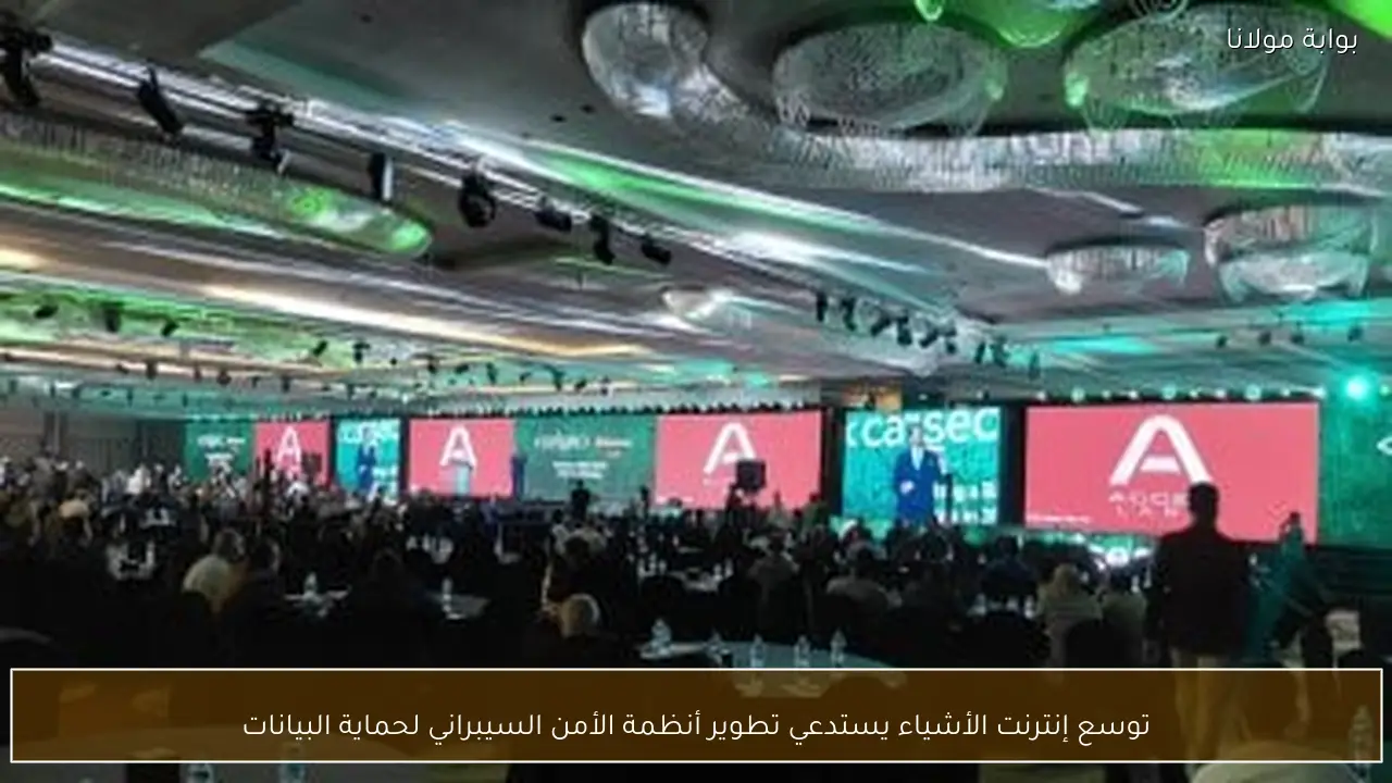 توسع إنترنت الأشياء يستدعي تطوير أنظمة الأمن السيبراني لحماية البيانات